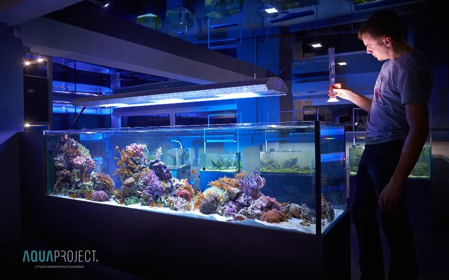склад аквариумов. аквапроджект. морской аквариум на просвет видовой. аквариум с дискусами и растениями. шикарный аквариум.