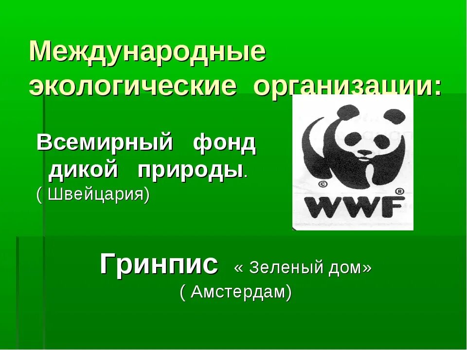 Региональные экологические организации. Международные экологические организации. Международные экологические организации в мире. Международные экологические организации 4 класс. Экологические организации в России.