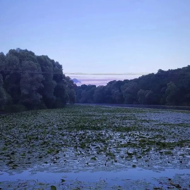 В контакте подслушано в курчатове курской