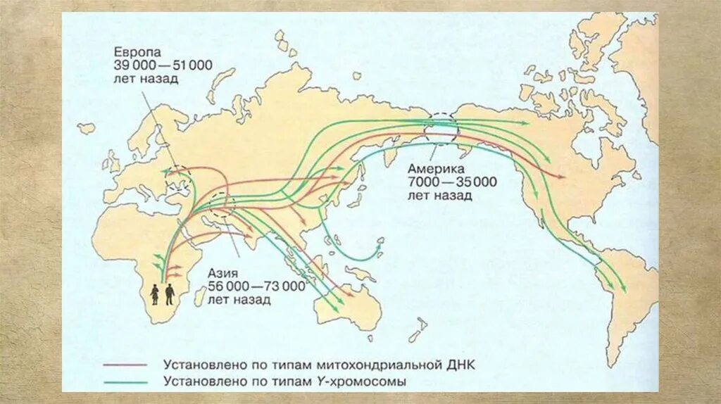 Купить расселение. Расселение древних людей по земле. Карта расселения людей. Расселение людей по земному шару. Пути расселения древних людей на карте.