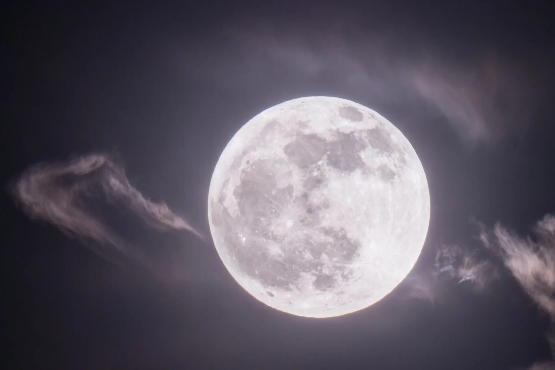 Светит холодная луна. Cold Moon. December Moon.