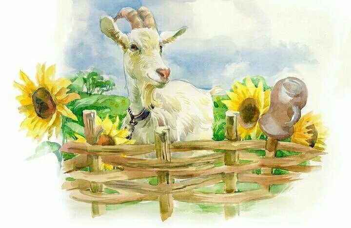 Девушка с козленком. Реклама козленка. Реклама козленка. Козлик простывший картинки. Дети с животными в деревне.