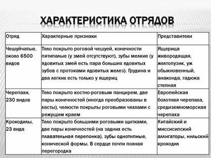 Таблица название отряда особенности строения и представители