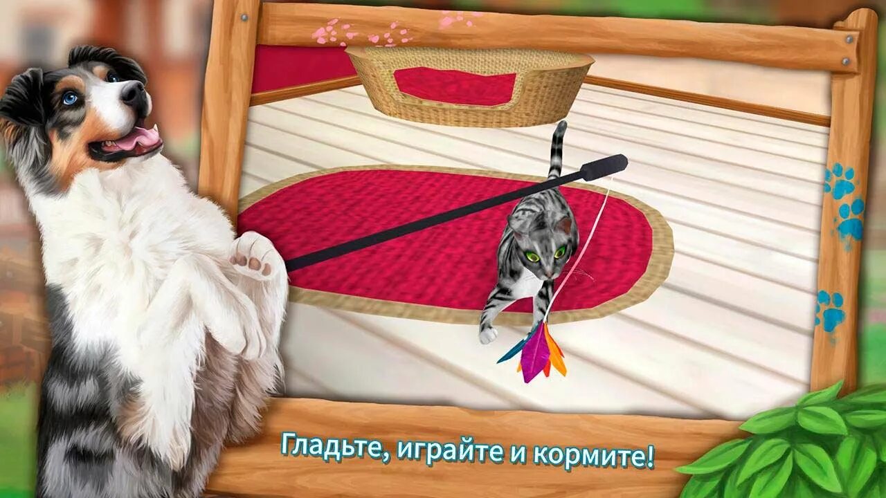 Pet hotel premium. Pet Hotel – забота о животных. Игра отель для животных. Отель для питомцев игра. Отель для собак игра.