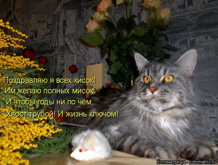 желать полный. открытка счастья полные штаны. поздравление и счастья полные штаны. мужчины без женщин. удачи полные штаны.