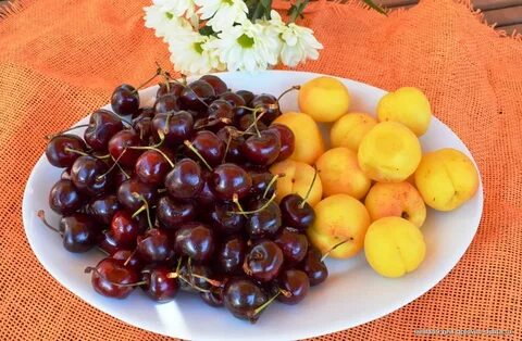 Отошли вишня черешня персики и абрикосы