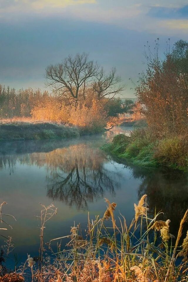 Туман на реке. Туман над рекой осень. Осень туман. Туманное осеннее утро. Осенний туман.