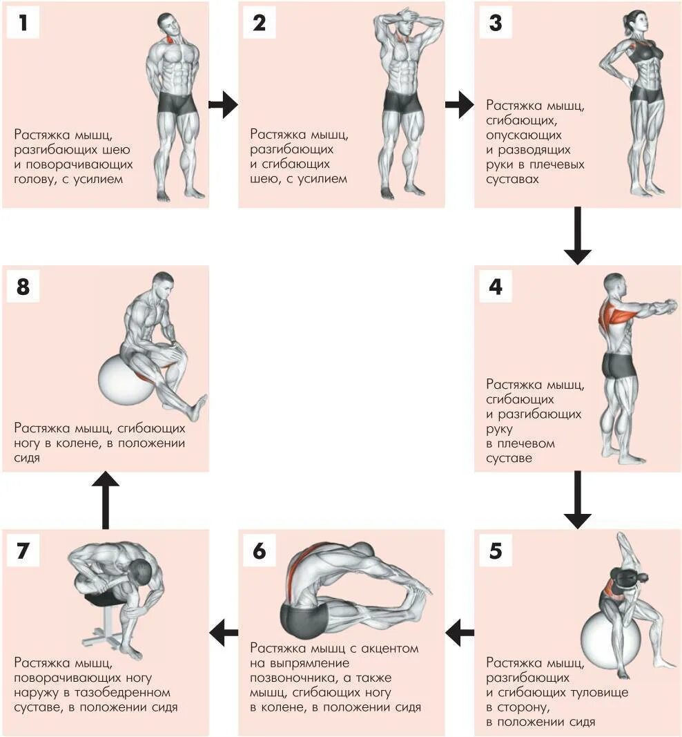 Какие упражнения для развития мышц. Комплекс упражнений на растяжку. Упражнения на растяжку мышц. Комплекс упражнений на растяжкк. Стретчинг комплекс упражнений.