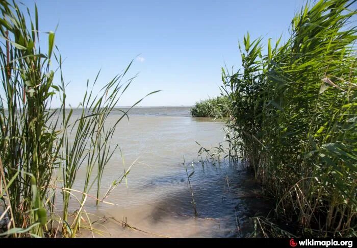 Река кубань и азовское море