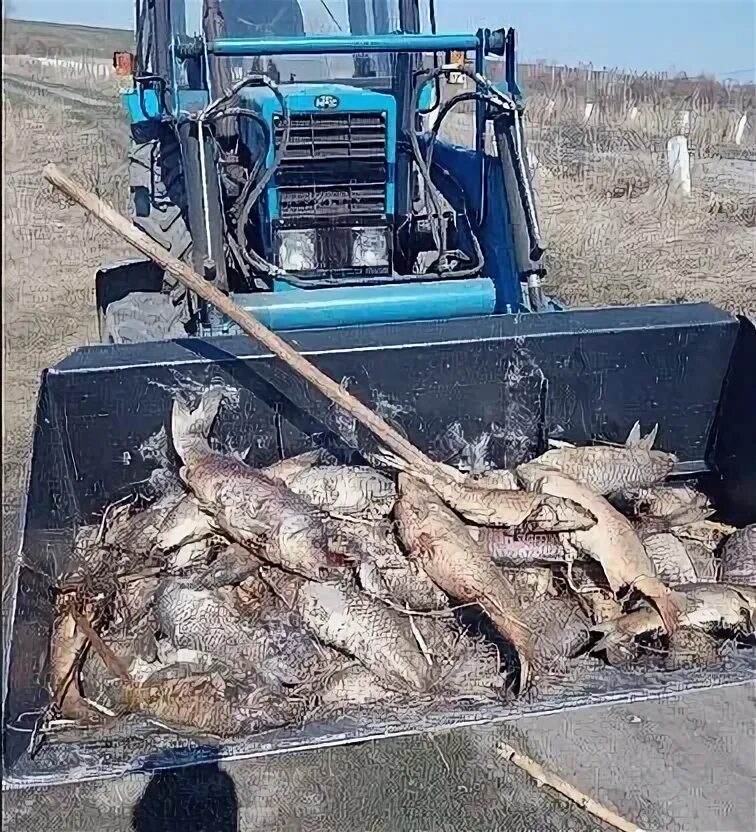 Погода в каргино ульяновская область. Погода в каргино ульяновская область. Пруд каргино вешкаймского ульяновской. Пруд каргино вешкаймский районе. Каргино ульяновская область фото.