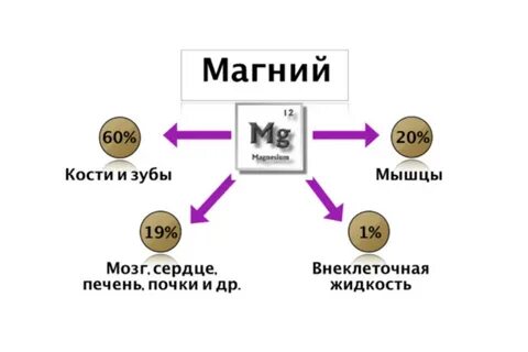 Зачем нужно пить магний
