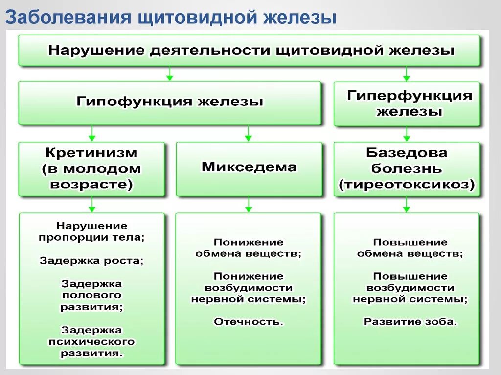 Заболевания связанные с нарушением функций щитовидной железы