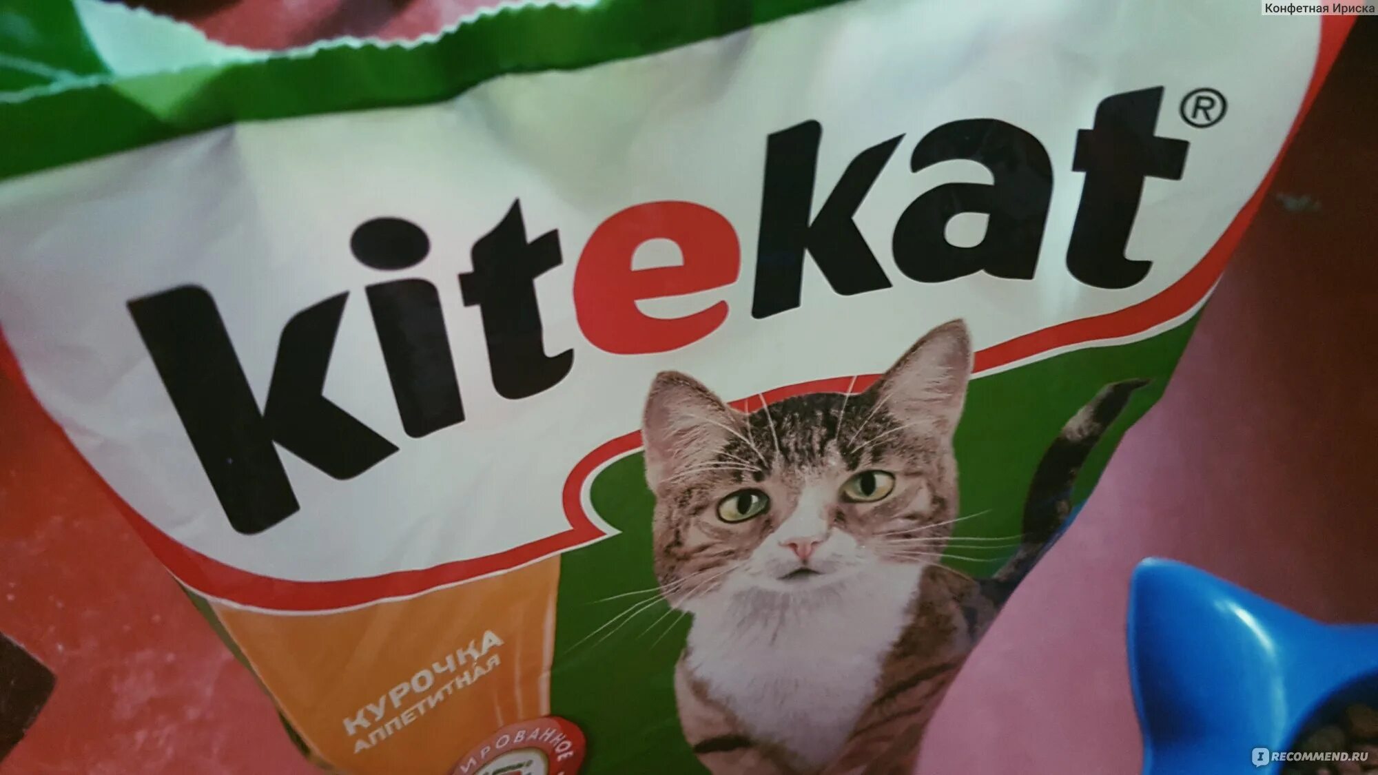 Китекат. Китикет с индейкой в соусе. Паштет китикет. Реклама китекат кот борис. Упаковка китикет.