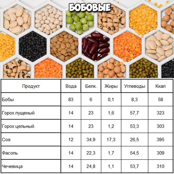 Углеводы в бобовых таблица. Калорийность бобовых таблица. Энергетическая ценность бобовых таблица. Фасоль калорийность на 100 грамм таблица.