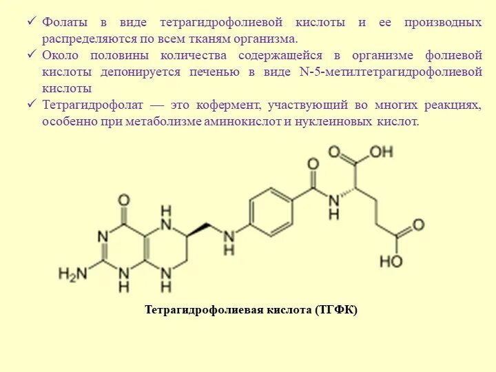 Тетрагидрофолиевая кислота Синтез. Тетрагидрофолиевая кислота активная форма витамина в9. Тетрагидрофолиевая кислота формула. Функции тетрагидрофолиевой кислоты.