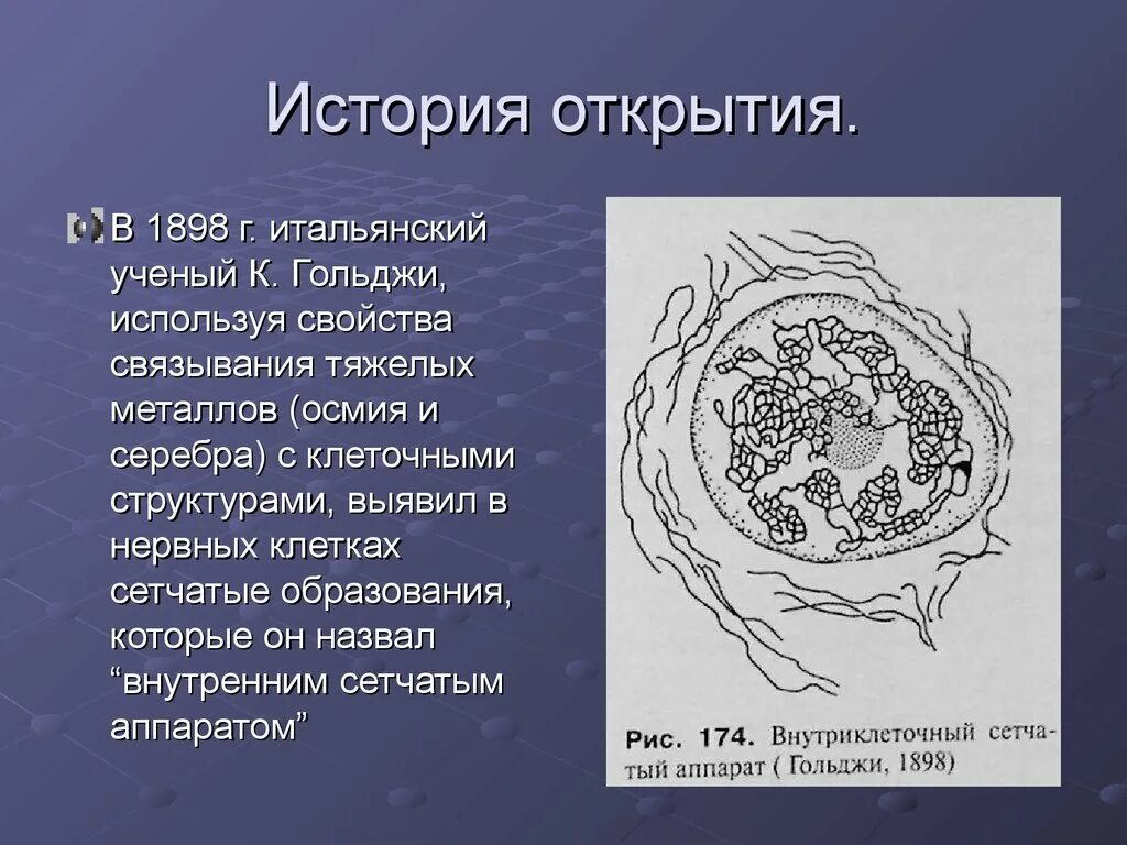 Вакуолярная система клетки. Вакуолярная система клетки рисунок. Строение вакуолярной системы. Вакуолярная система клетки строение.