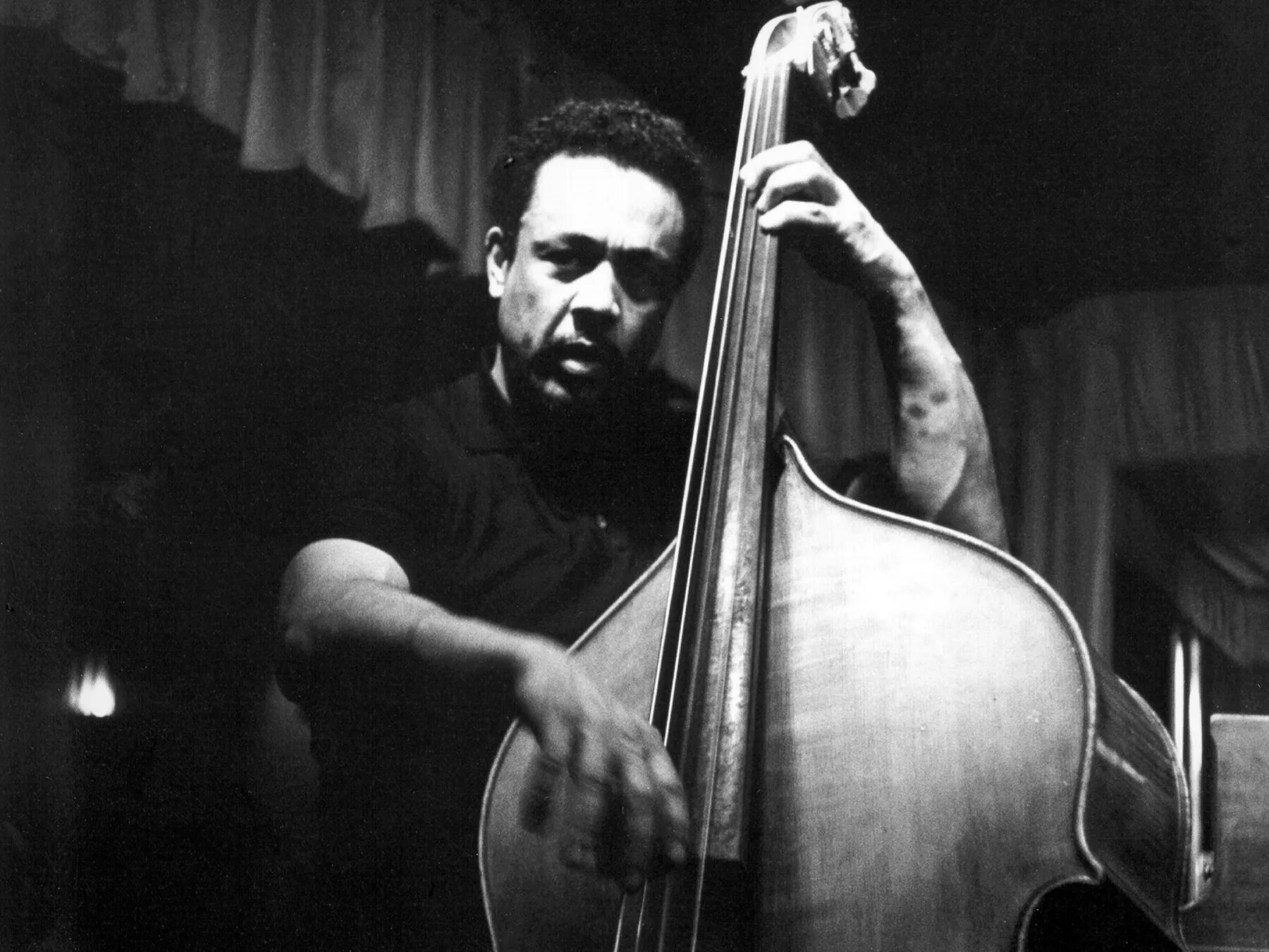 Famous player. Charles Mingus. Charles Mingus - Mingus Dynasty.