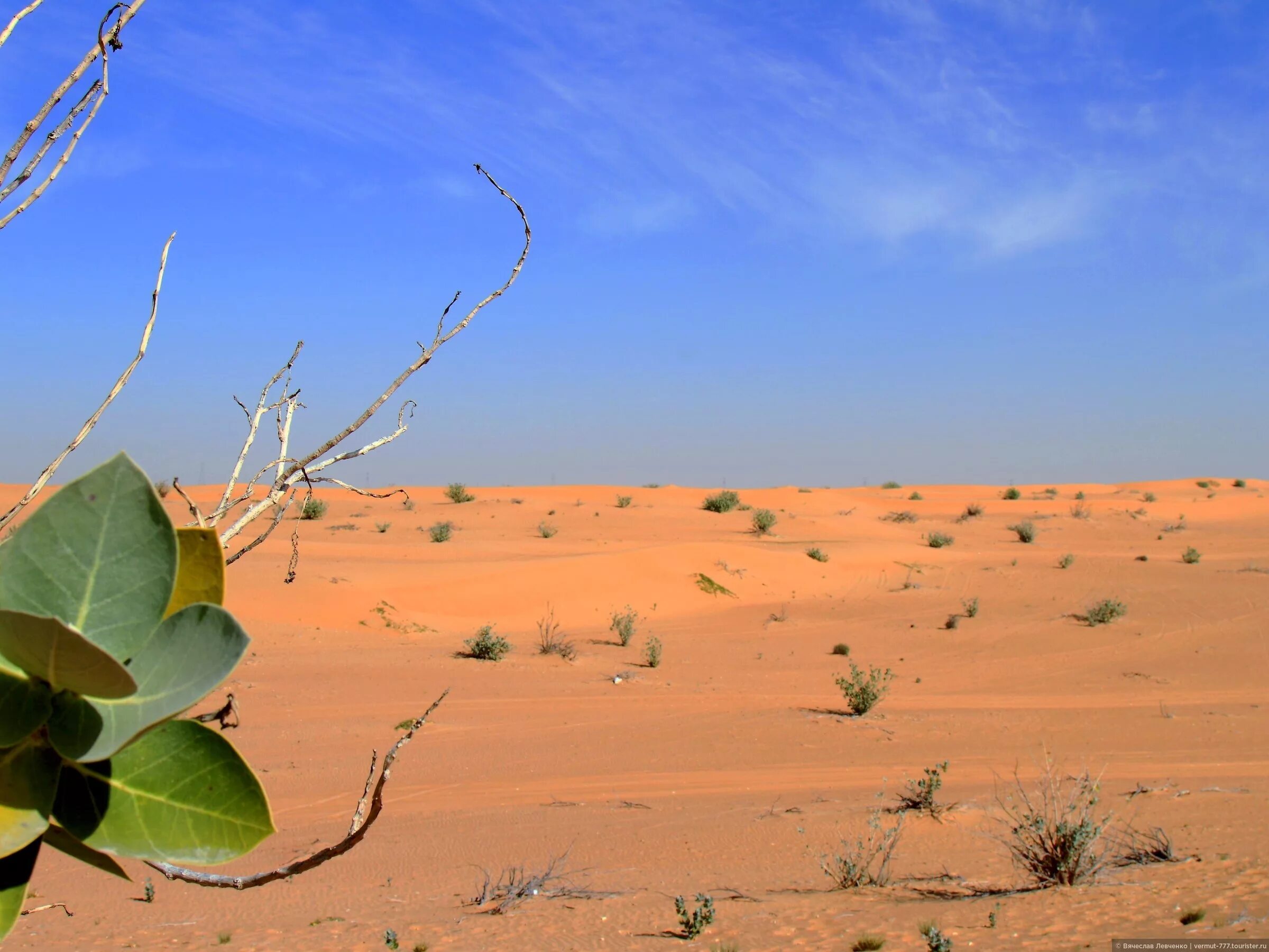 Пустыни и полупустыни природная зона. Географическое положения природной зоны пустыни в россии. Зона пустынь как называется. Зона пустынь как называется. Характеристика пустынь и полупустынь.