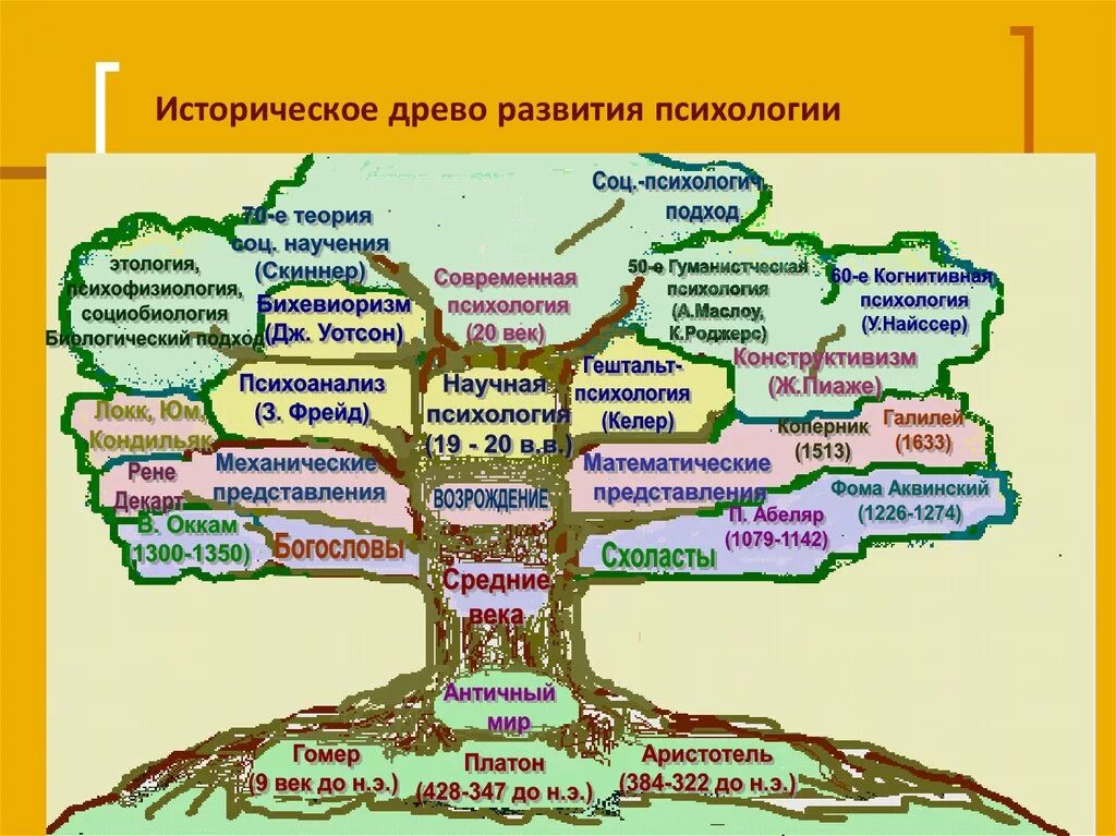 Историческое Древо развития психологии. Дерево психологии. Отрасли психологии дерево. Древо психологических наук.