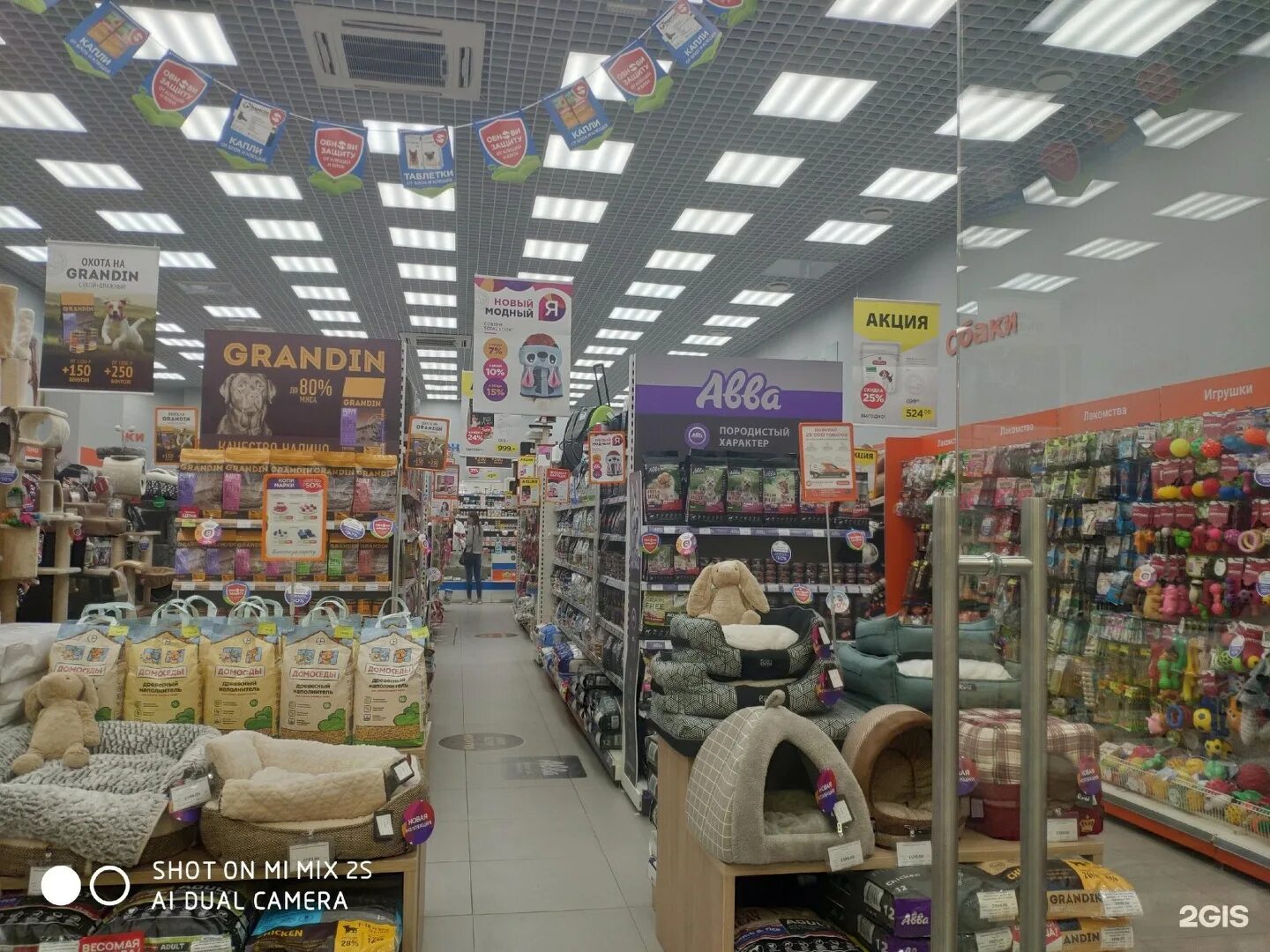 четыре лапы магазин коньково. зоомагазин 4 лапы. четыре лапки магазин. магазин 4 лапы новомосковск. четыре лапы зоомагазин липецк.