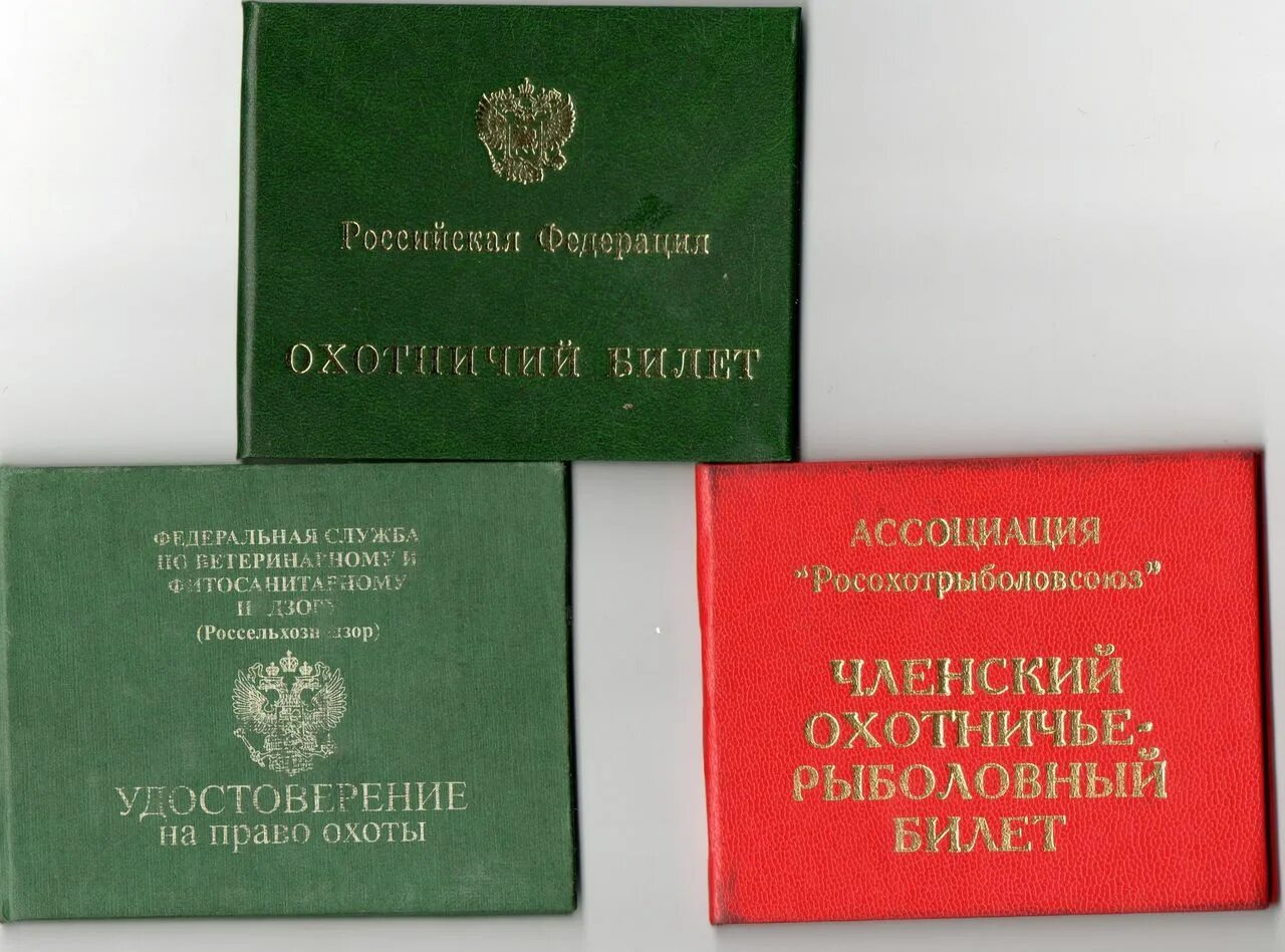 Какие документы для получения охотничьего билета