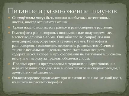 Характеристика плаунов и хвощей 7 класс