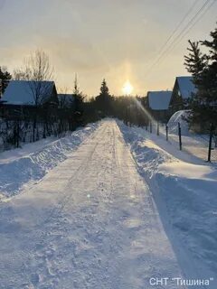 Снт тишина московская область