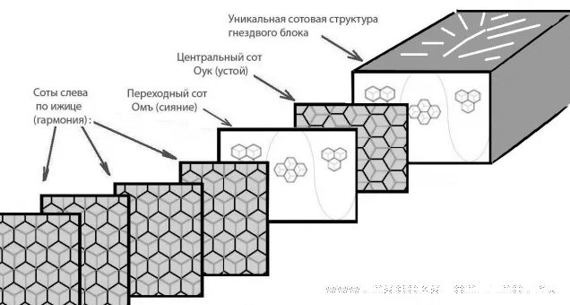 Блоки сота. Структура сот. Схема естественных покрытий. Расположение сотов. Схема ориентации сот в композитах.