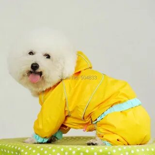 L dog