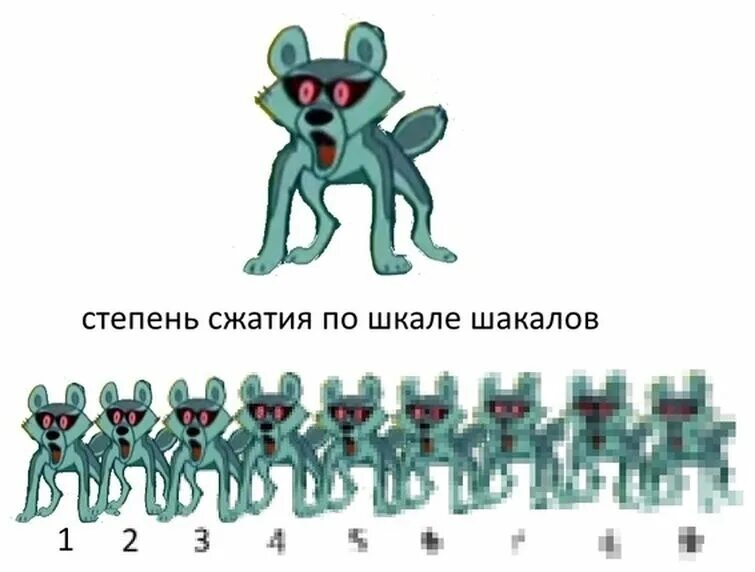 10 шакалов из 10