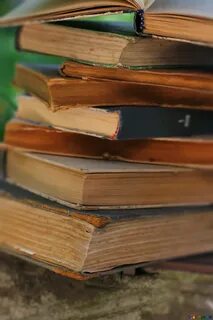 Book search