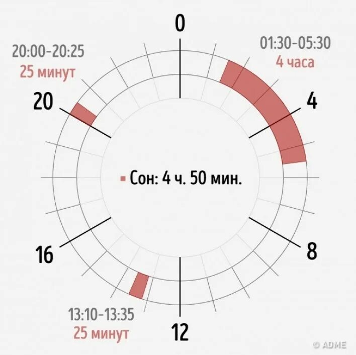 Сон в течение дня. Режим сна. сон по 4 часа в сутки. график режима сна. фазы сна по часам график.