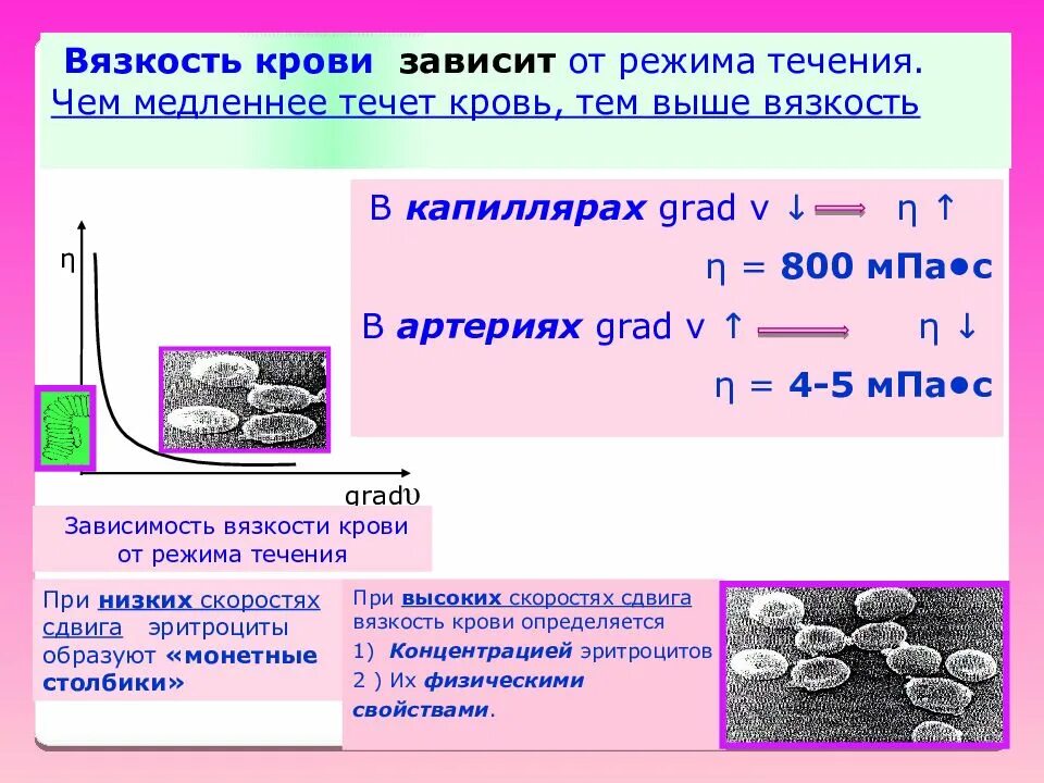 Вязкость крови вязкости воды. Вязкость крови зависит. Вязкость крови зависит от. Вязкость крови с вискозиметром. Вязкость крови норма.