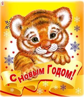 Тигренок год