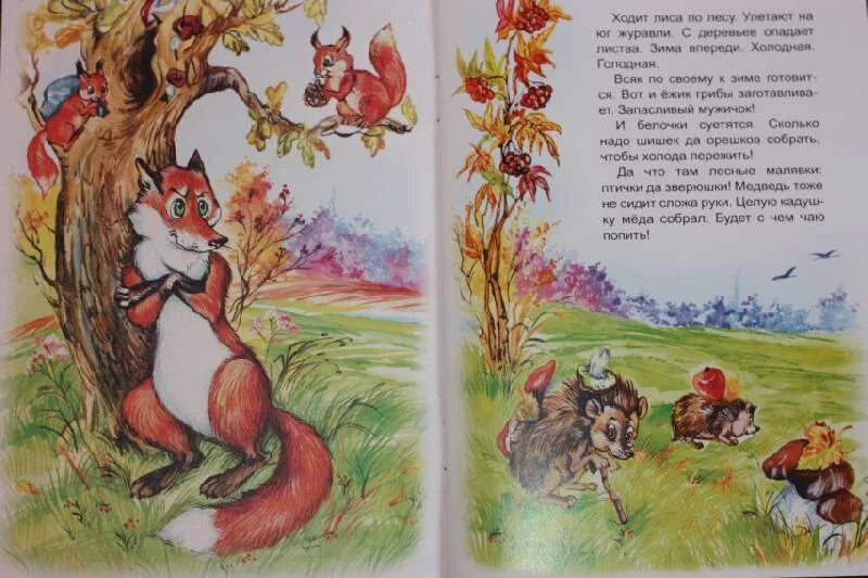 Лиса и медведь книга. Лиса и медведь сказка. Сказки про лису и медведя. Сказка лиса и медведь текст.