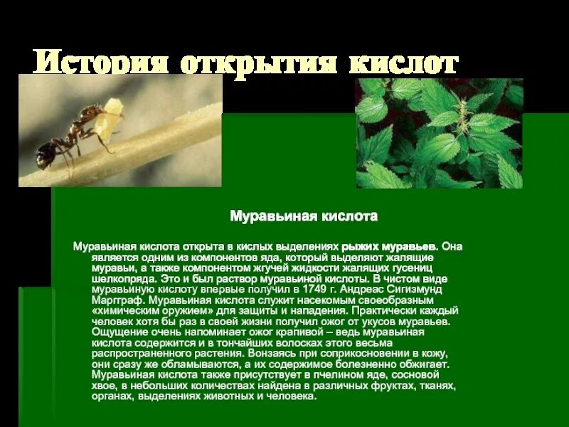 Как растения используют кислоту
