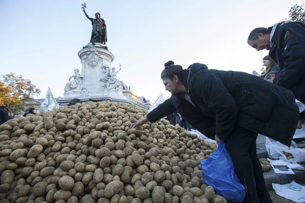 Протестующие фермеры во франции. Французы митинг. Французский фермер. Фермеры выливают молоко на поля из-за санкций. Протестующие фермеры во франции.