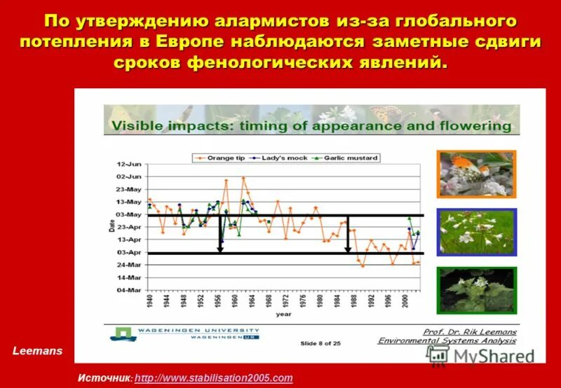 Остановился на 9 минуте. График отслеживания температуры с фенологическими наблюдениями. Фенологический спектр. Фенологические наблюдения 5 класс биология таблица за временем года.