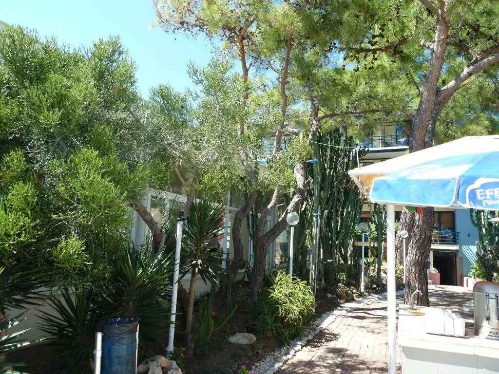 Club hotel rama турция кемер бельдиби. Club hotel rama бельдиби. club hotel rama 4*. рама отель кемер турция. club hotel rama фото.