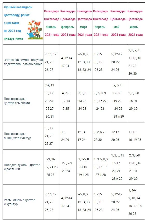 Можно сегодня садить рассаду. Календарь огородника на 2021 посадочный лунный. Лунный календарь на февраль посевной на 2021 год. Лунный календарь комнатных растений на 2021 год. Лунный календарь для комнатных растений на 2021 год таблица.