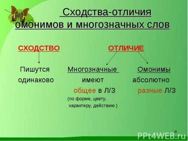 Чем отличаются многозначные слова от омонимов. Омонимы и многозначные слова. Многозначныеслова и омонимв. Многозначность и омонимия различия. Омонимы и многозначные слова различия.