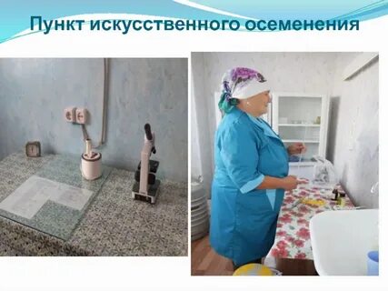 Пункт искусственного осеменения