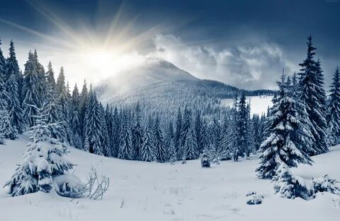 Four snow