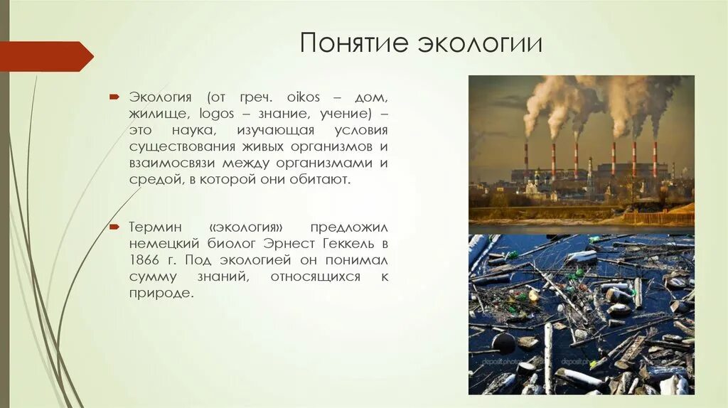 Как понять экология. Понятие экология. Термин экология. Экология экологические термины. Раскрыть понятие экология.