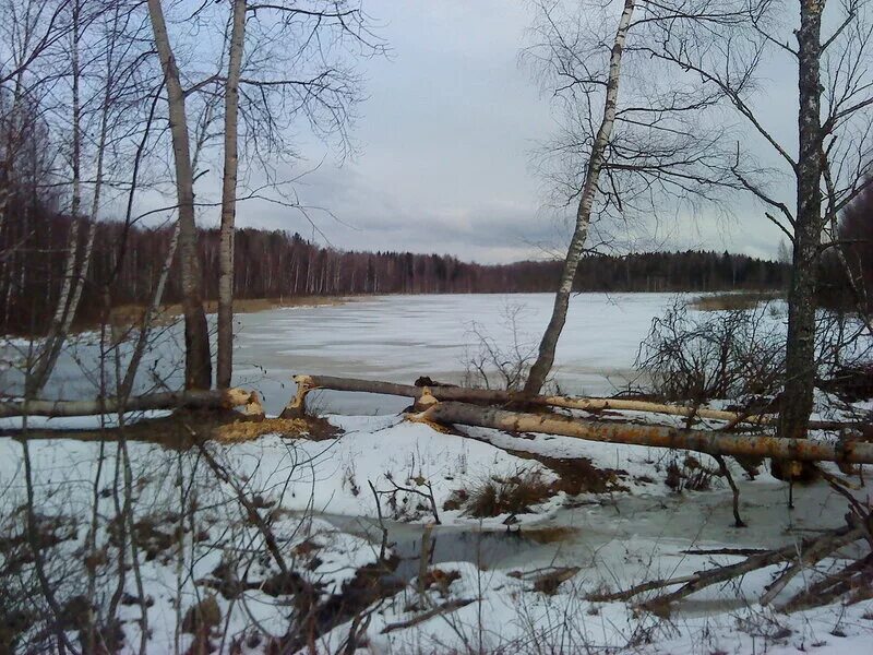 Погода в семлево вяземский