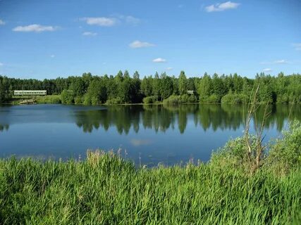 Погода в анциферово московская