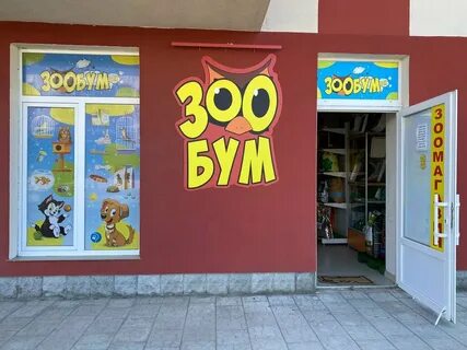 Зообум