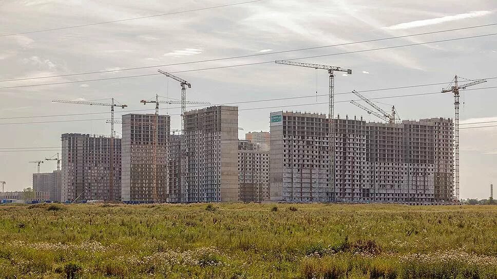 Доступное жилье спб. Стройка в полях Шушар. Строительство статьи свободы фото.