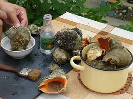 Как почистить ракушку