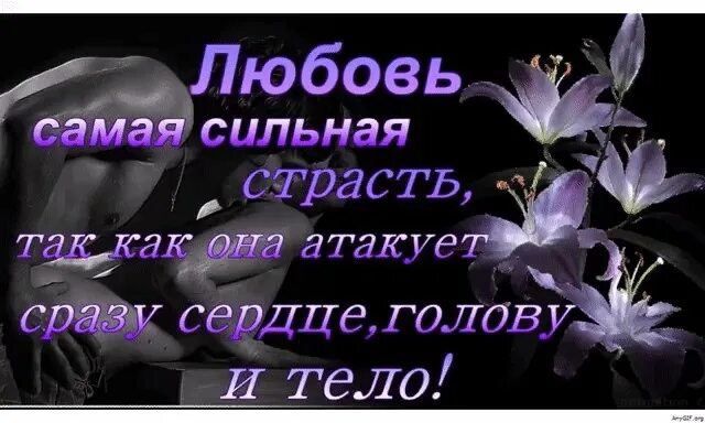 Без любви все грех. Любовь это не грех. любовь самая сильная из всех страстей. любовь грех цитаты. любить не грех.